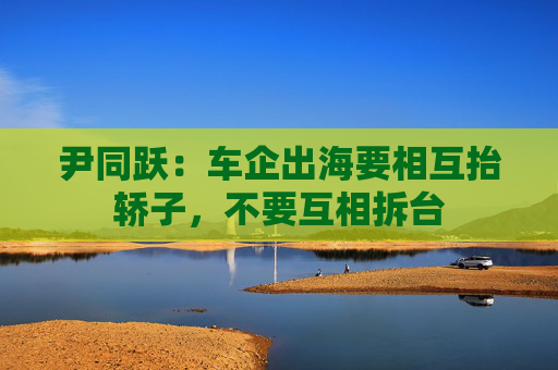 尹同跃:车企出海要相互抬轿子,不要互相拆台