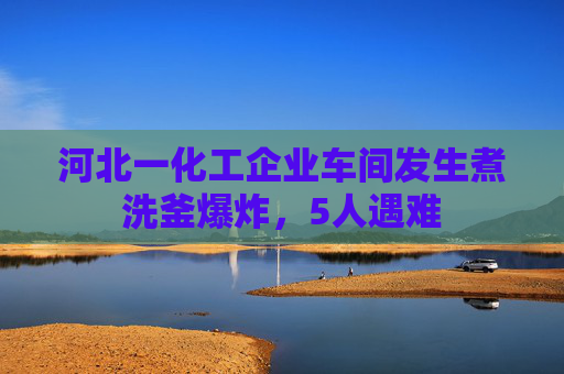 河北一化工企业车间发生煮洗釜爆炸，5人遇难