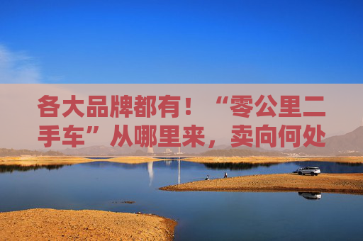 各大品牌都有!“零公里二手车”从哪里来,卖向何处,影响有多大?