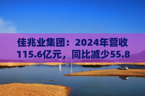 佳兆业集团：2024年营收115.6亿元，同比减少55.8%