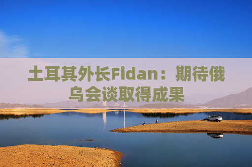 土耳其外长Fidan：期待俄乌会谈取得成果