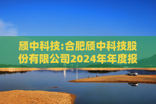 颀中科技:合肥颀中科技股份有限公司2024年年度报告