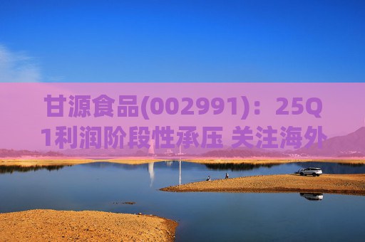 甘源食品(002991)：25Q1利润阶段性承压 关注海外市场突破