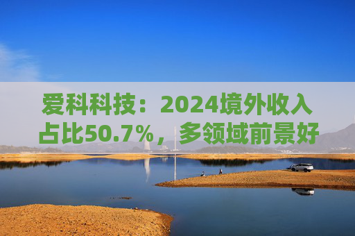爱科科技：2024境外收入占比50.7%，多领域前景好  第1张