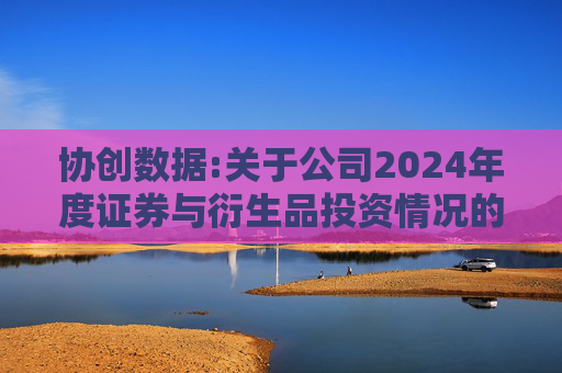 协创数据:关于公司2024年度证券与衍生品投资情况的专项报告  第1张