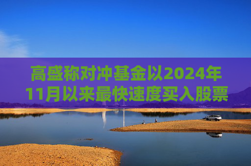 高盛称对冲基金以2024年11月以来最快速度买入股票