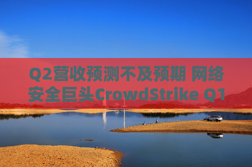 Q2营收预测不及预期 网络安全巨头CrowdStrike Q1绩后暴跌6%