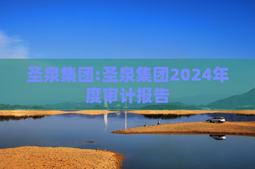 圣泉集团:圣泉集团2024年度审计报告