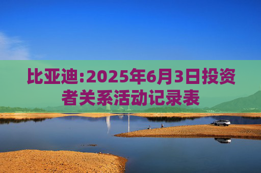 比亚迪:2025年6月3日投资者关系活动记录表