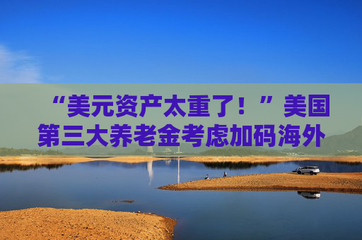 “美元资产太重了！”美国第三大养老金考虑加码海外投资