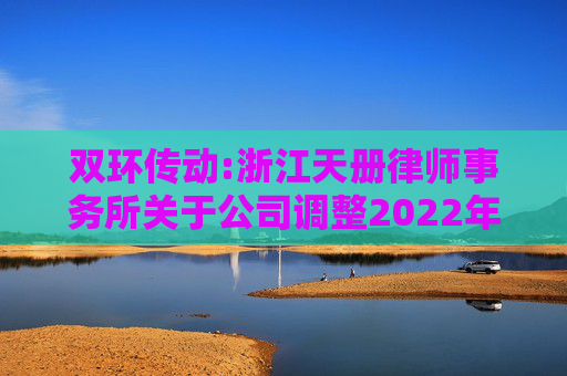 双环传动:浙江天册律师事务所关于公司调整2022年股票期权激励计划行权价格的法律意见书