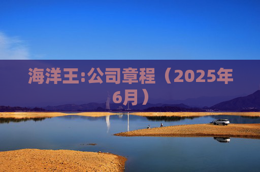 海洋王:公司章程（2025年6月）  第1张