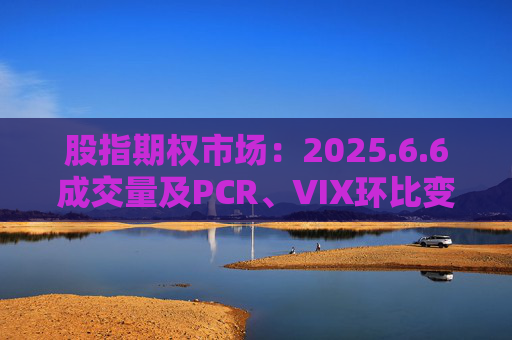 股指期权市场:2025.6.6成交量及PCR、VIX环比变动情况
