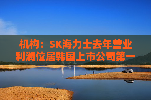 机构：SK海力士去年营业利润位居韩国上市公司第一，首次超过三星电子