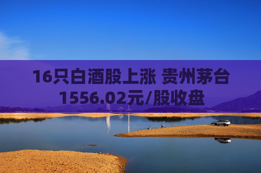 16只白酒股上涨 贵州茅台1556.02元/股收盘