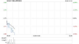 马鞍山钢铁股份续聘德勤华永为审计师