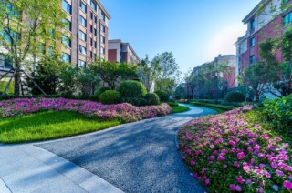 实探远洋椿萱茂：如何让老人有尊严地变老？