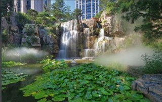 投保时需注意哪些条款细节？