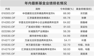 港股主题基金霸屏业绩榜 基金经理配置力度不减