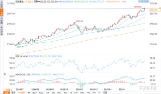 黄金因贸易紧张担忧推动避险需求而涨至创纪录水平