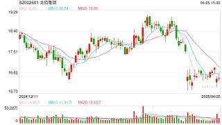 龙佰集团高分红“迷局”