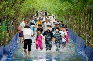 端午小长假“好玩不贵”：周边游出游人次占比近50%，主题乐园景区最受欢迎