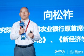 宁高宁、宋志平、刘庆峰等千余位正和岛企业家齐聚合肥 共探“AI+出海”增长新动能
