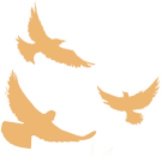 贯彻落实2026年工作会议精神 | 所属企业负责人共话工作会落实蓝图