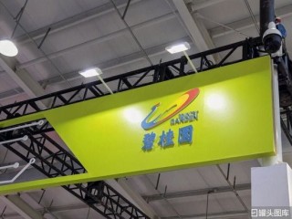 杨惠妍被罚、董事会力挺！碧桂园千亿债务危机解除了吗？