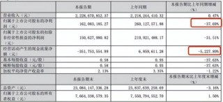 迈为股份“澄而不清”：现金流大降5227.89%下的危机