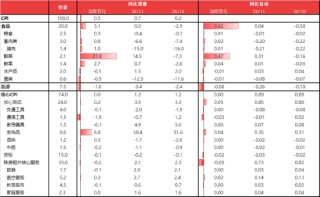 东海期货11月宏观数据观察：CPI同比超预期回升，PPI降幅有望收窄