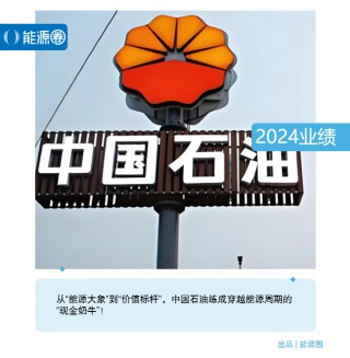 净赚1646.8亿，中国石油年报背后隐藏着什么印钞秘密