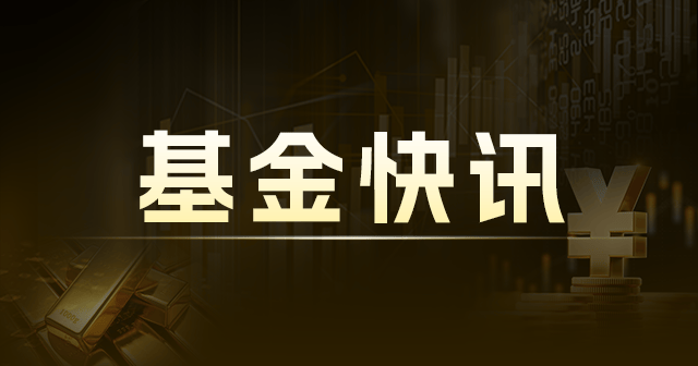 天弘中证计算机 ETF 联接 C：净值波动，持仓前十 001630  第1张