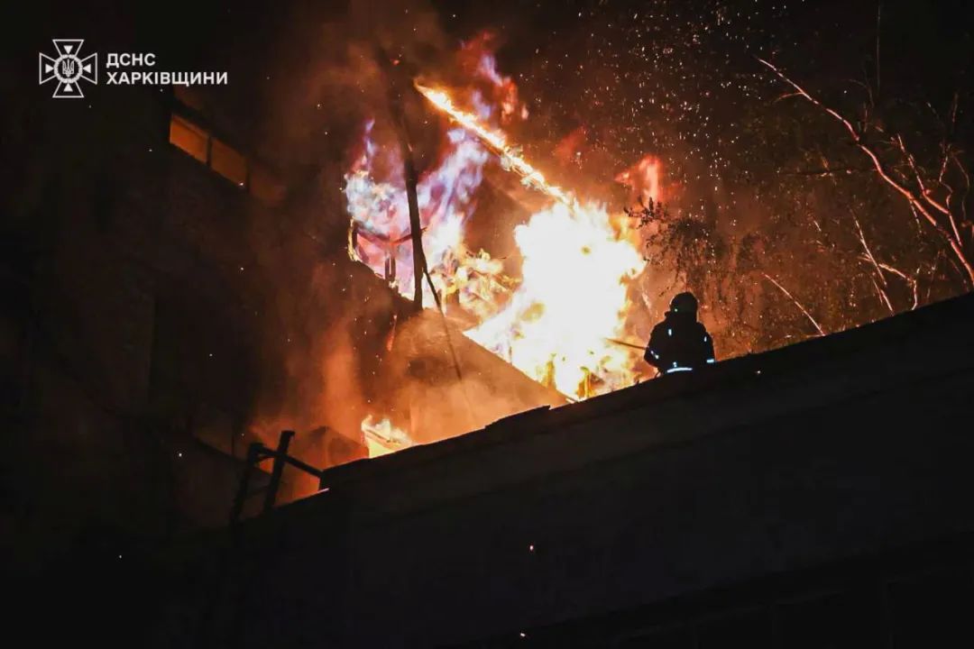 “美CPI爆冷,纽币怒涨在即?”——全球降息预期裂变,新西兰成黑马? 第5张 “美CPI爆冷,纽币怒涨在即?”——全球降息预期裂变,新西兰成黑马? 第5张