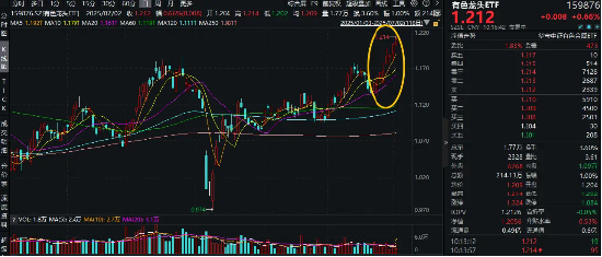 美国“大而美”法案，引发铜价飙升，黄金大涨！有色龙头ETF（159876）冲击8连阳，再刷年内高点！  第1张
