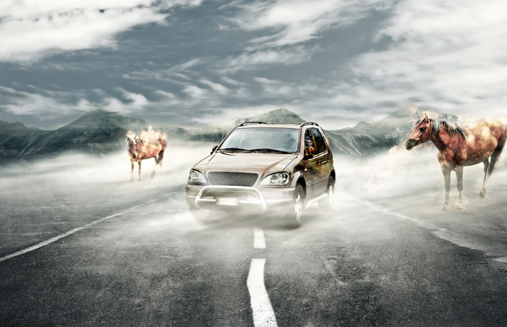 汽车不同车型的适用场景是什么？  第1张