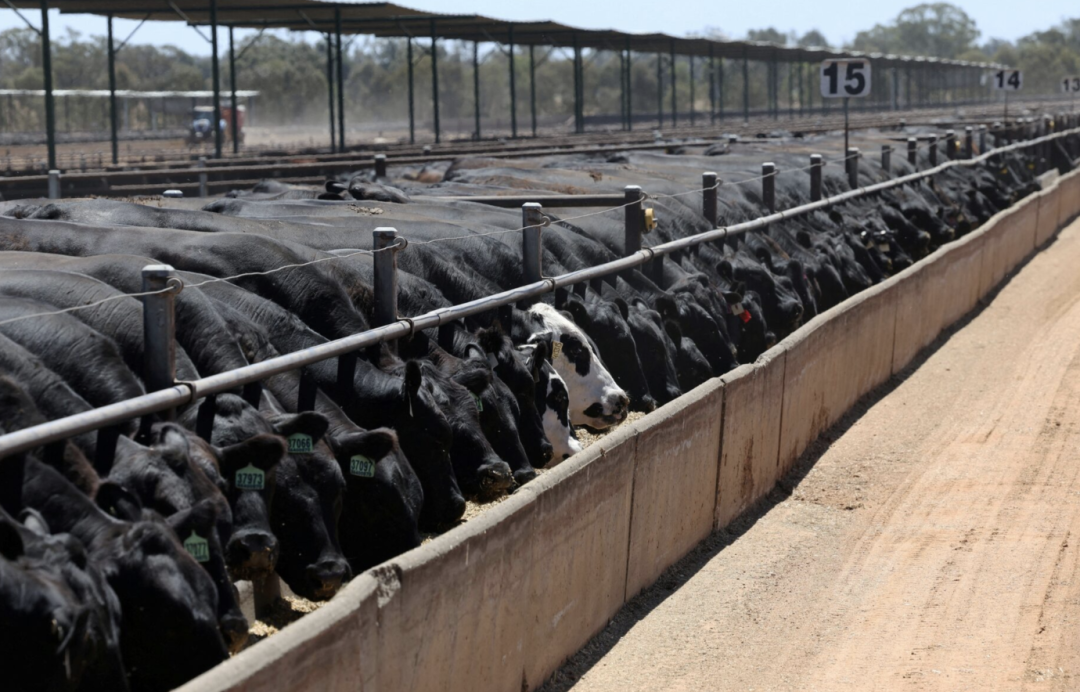 澳币AUDUSD背后惊现史诗级内讧!澳洲联储 5:4投票加息释放极端信号,通胀彻底失控? 第3张 澳币AUDUSD背后惊现史诗级内讧!澳洲联储 5:4投票加息释放极端信号,通胀彻底失控? 第3张